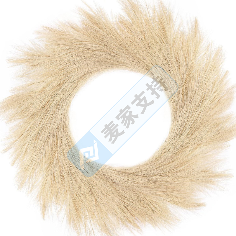 跨境侵權預警——這個常見的潘帕斯草花環，美國外觀專利已經下證！